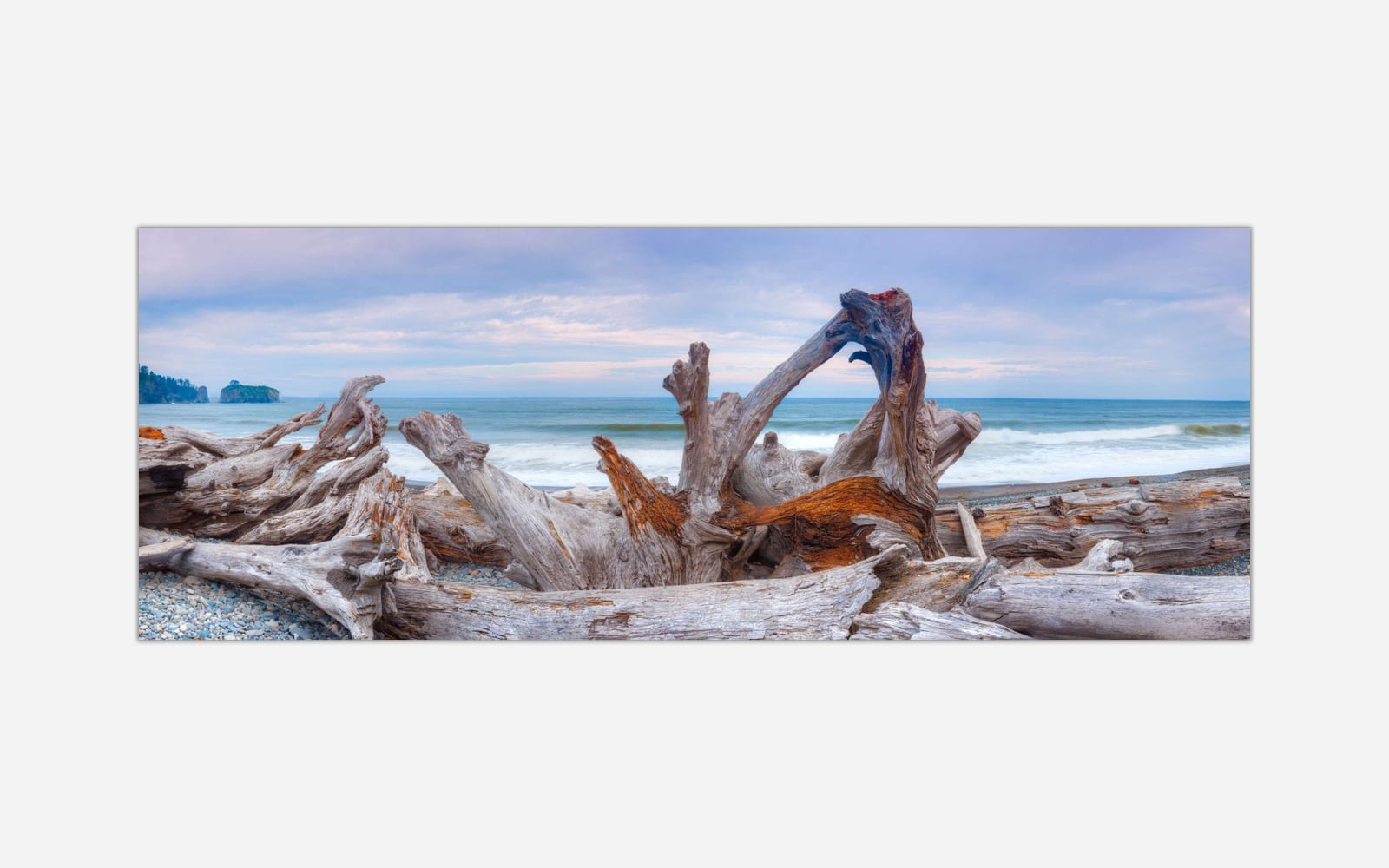 As-it-Fades-img-(11) A panoramic photograph of a serene beach scene with a weathered driftwood formation in the foreground and ocean waves in the background under a cloudy sky.