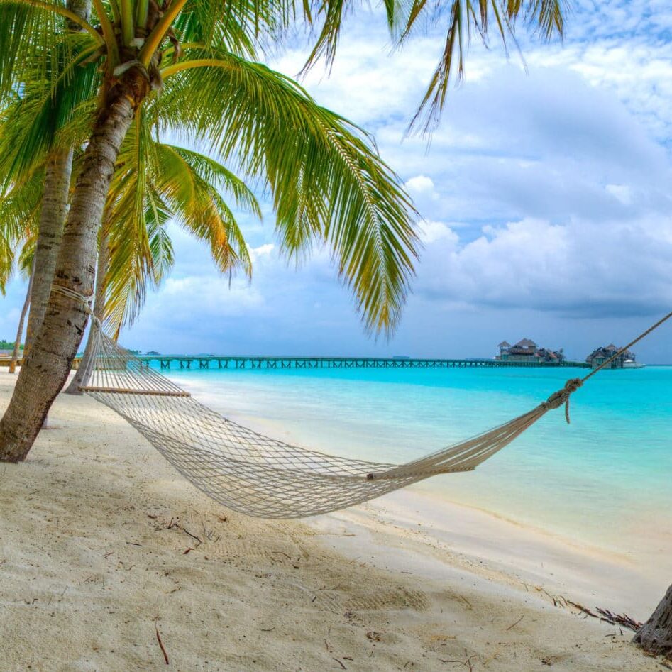 848 HQ 1 scaled e1707345509785