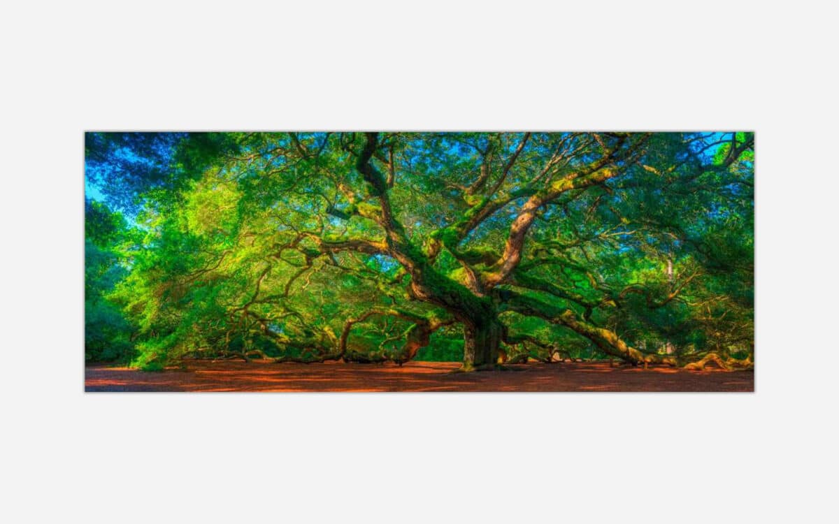 A vibrant photograph of a grand, ancient tree with a sprawling canopy of green foliage in a serene forest environment.