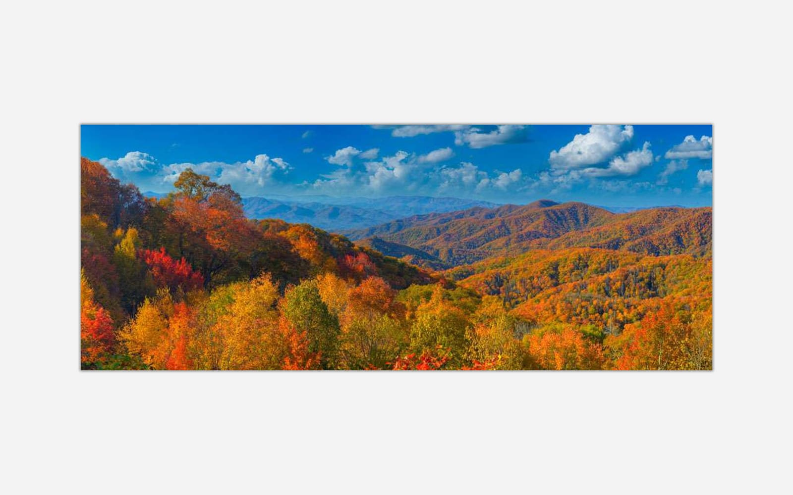 Blanket of Color (1) Panoramic autumn landscape with a vibrant display of fall colors on forested mountains under a blue sky with clouds.