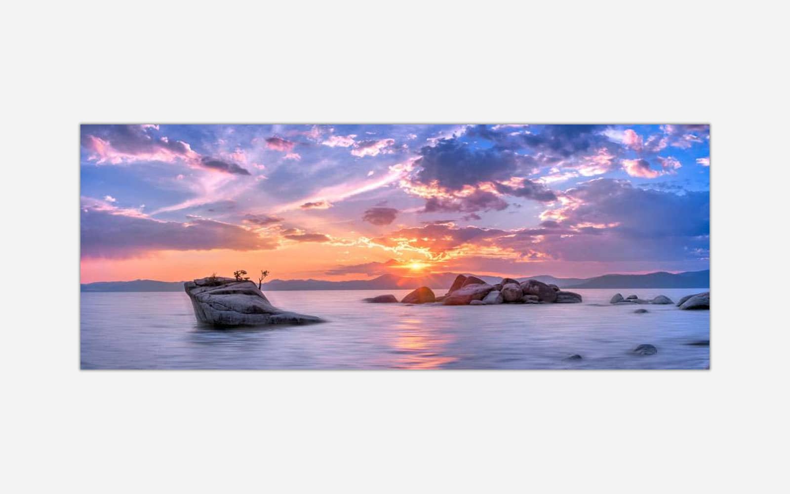 Bonsai Rock (1) Bonsai Rock 1