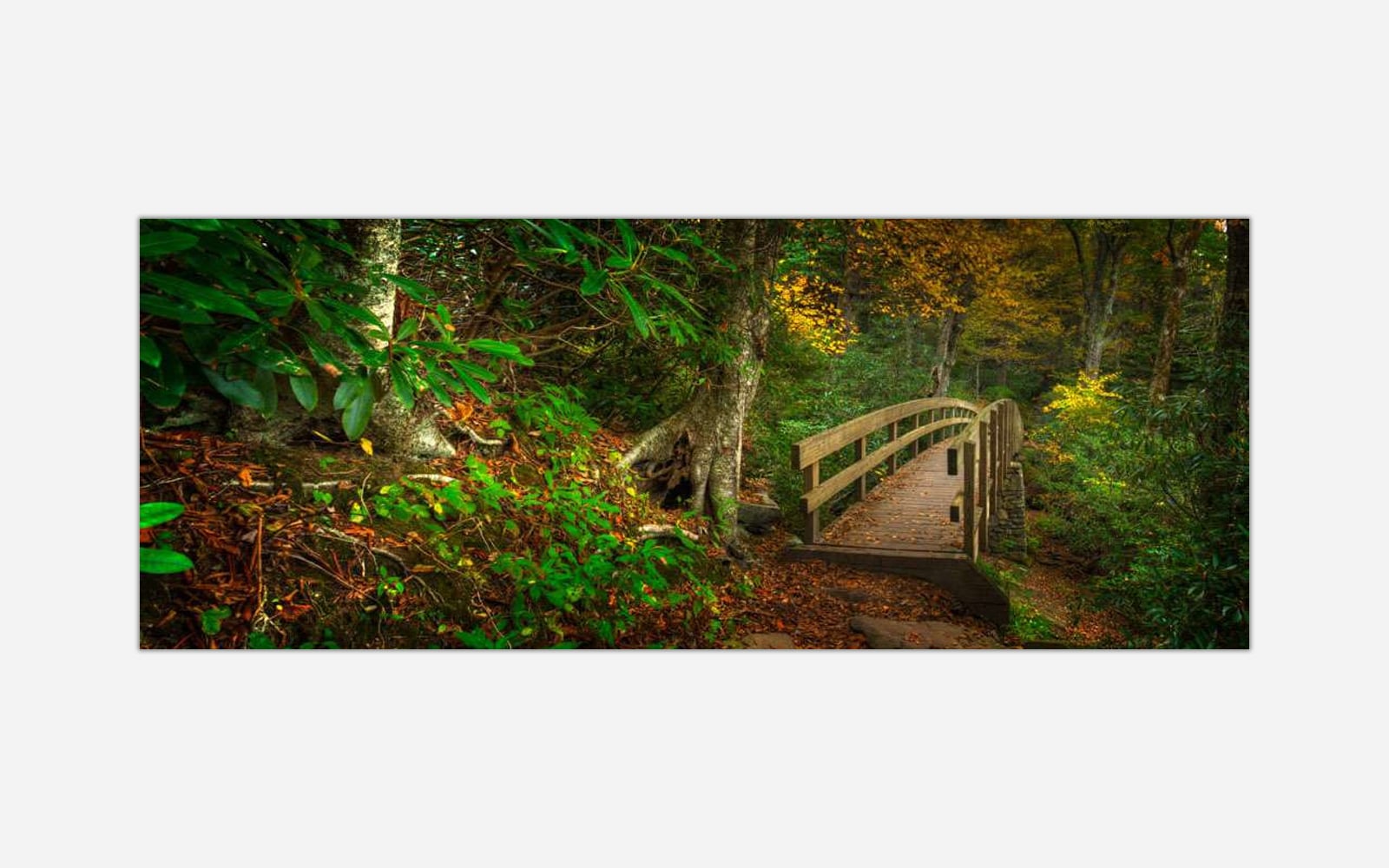 Bridge to Dreams (1) Wooden bridge over a forest pathway surrounded by fall foliage and greenery, depicting a serene and tranquil woodland scene.