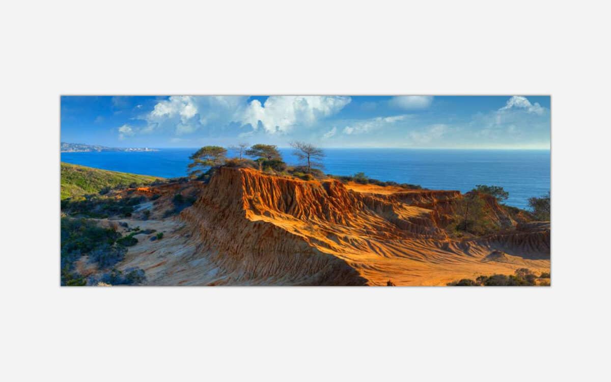 A panoramic image of a coastal landscape showing eroded sand cliffs with sparse trees, overlooking a calm blue ocean under a blue sky with fluffy clouds.