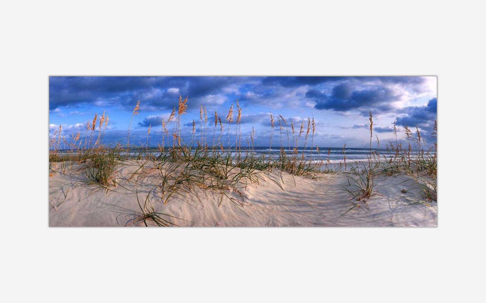 Calling For Rain (1) Panoramic image of a serene beach landscape with sand dunes and beach grass under a blue sky with clouds.