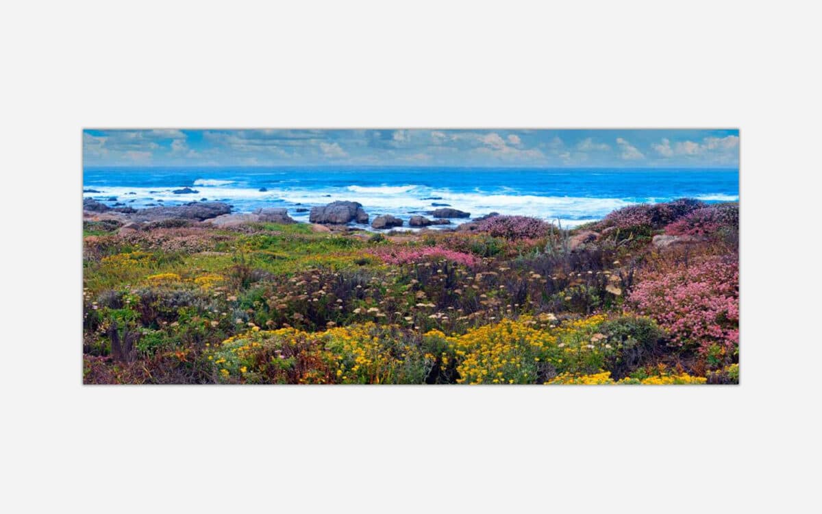 A panoramic artwork depicting a colorful wildflower field with a backdrop of rocky coastline and ocean waves under a cloudy sky.