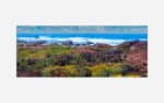 A panoramic artwork depicting a colorful wildflower field with a backdrop of rocky coastline and ocean waves under a cloudy sky.