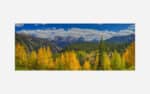Panoramic image of mountains and autumn colored trees in a vibrant landscape