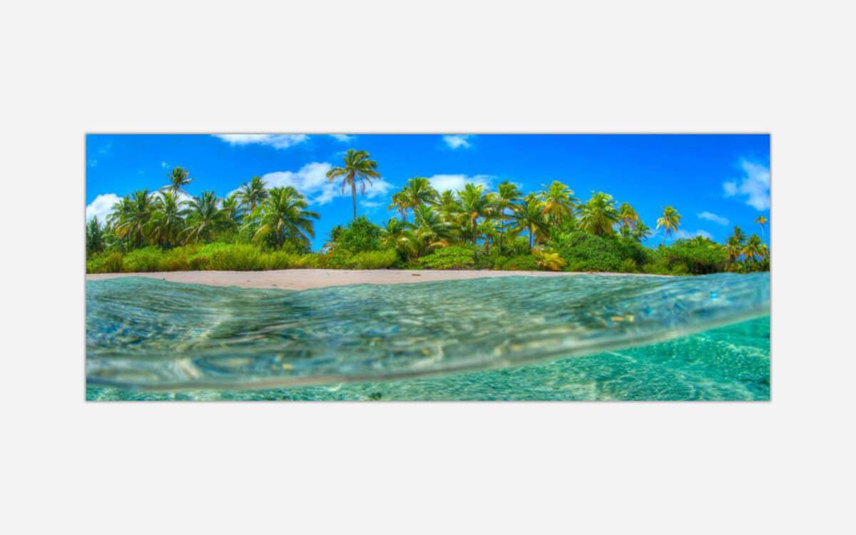 A vibrant split view image of a tropical beach with clear blue sky and palm trees above water and a glimpse of the underwater with the sandy sea floor.