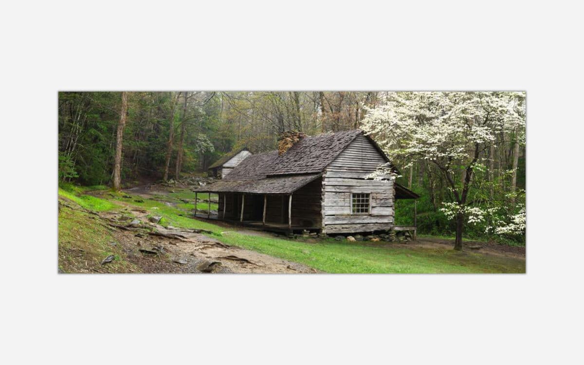 A photograph of an old rustic log cabin in a forest setting with blooming trees during the spring season.