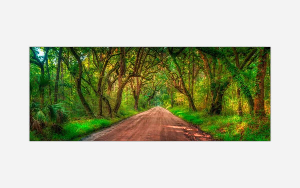 A vibrant photograph of a scenic forest road with a canopy of trees and lush greenery on either side.