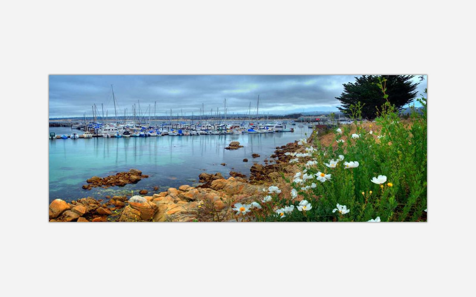Maritime Maidens (1) An artwork of a marina with boats docked in calm blue waters, featuring coastal flowers in the foreground and a cloudy sky above.
