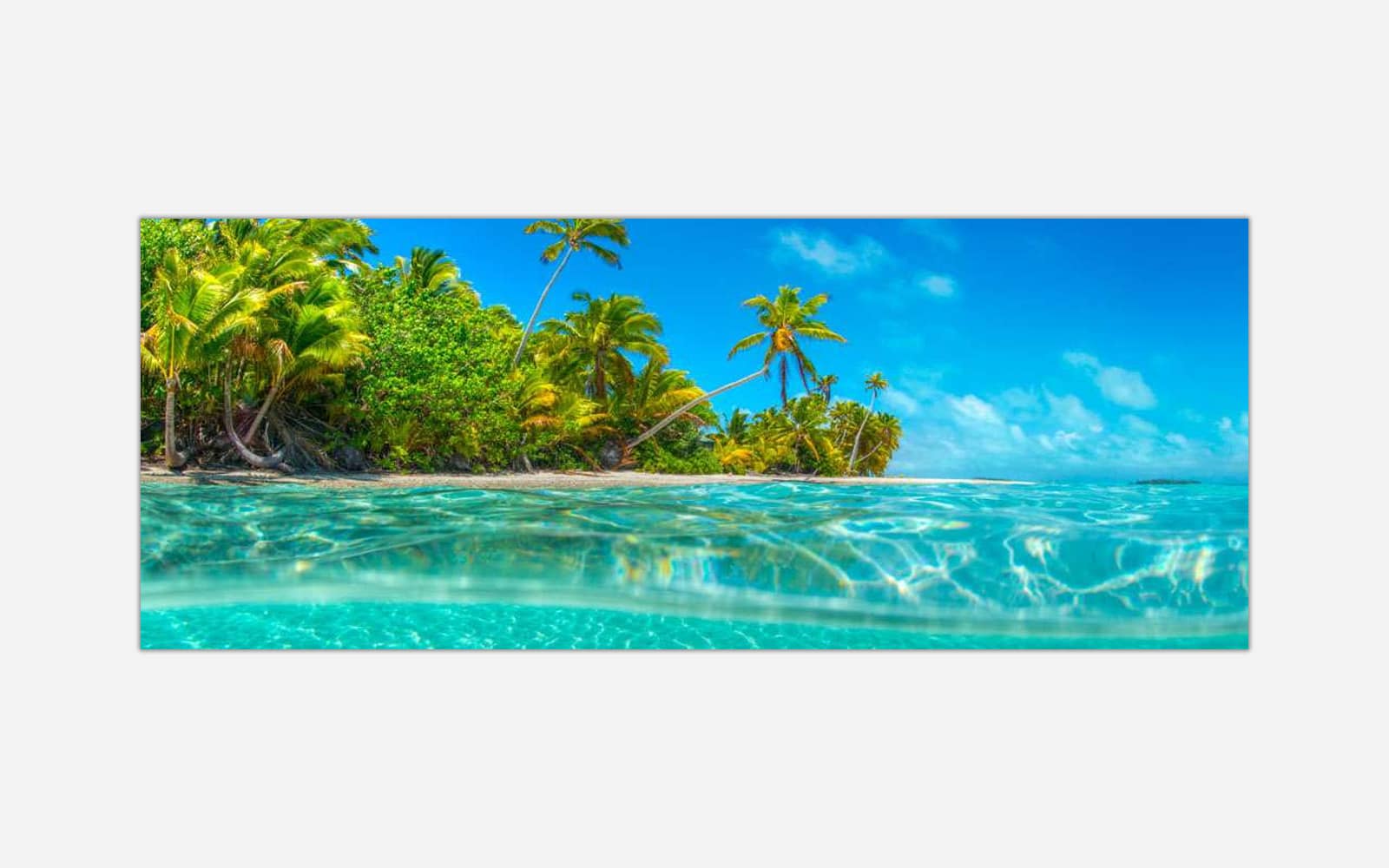 Over and Under (1) Alt text: Artistic representation of a tropical paradise with clear turquoise waters, white sandy shoreline, and dense palm trees under a bright blue sky.