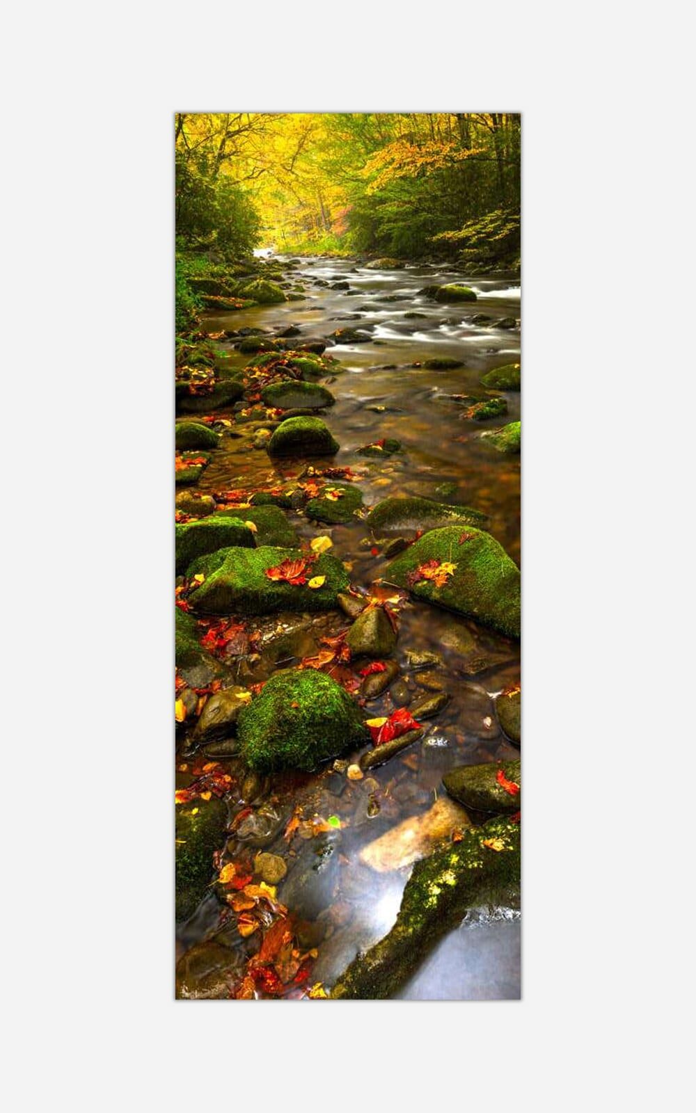 A panoramic photograph of a serene waterfall surrounded by moss-covered rocks and autumn leaves in a forest.