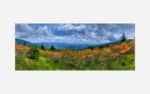 Panoramic landscape photograph of a vibrant mountainous area with lush greenery and colorful wildflowers, accompanied by a cloud-filled sky.