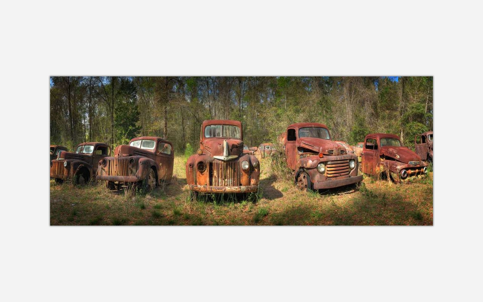 Rustic Row (1) Panoramic photograph of a collection of old, rusty vintage trucks abandoned in a forest clearing.