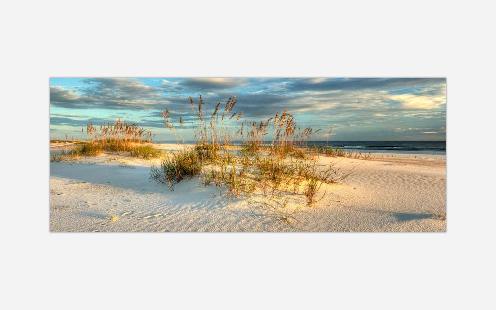 Sea Oat Sunset (1) A panoramic photograph of a serene beach scene with sand dunes and coastal grass under a sunset sky.