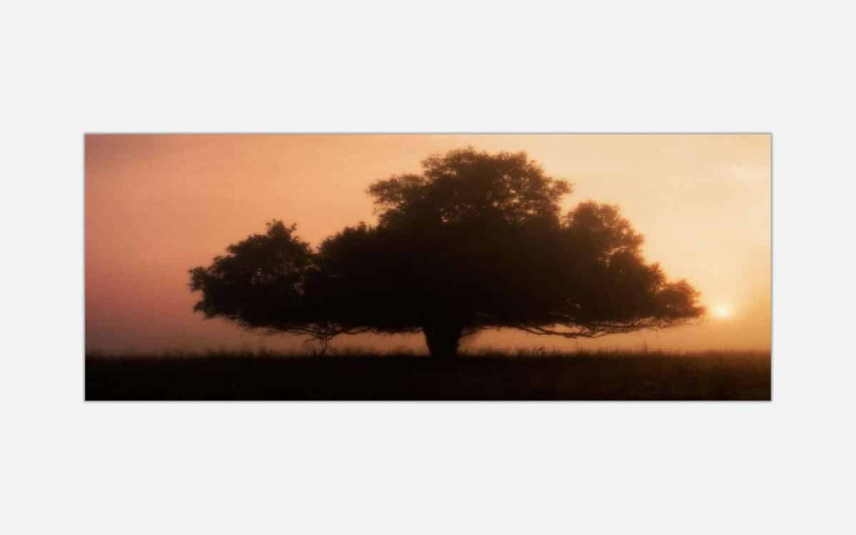A painting of a lone tree silhouette against a warm golden sunrise or sunset background with a hazy sky.
