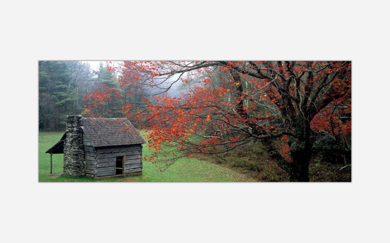 Simpler Times (1) An old rustic cabin surrounded by a forest with red autumn leaves under a misty sky.
