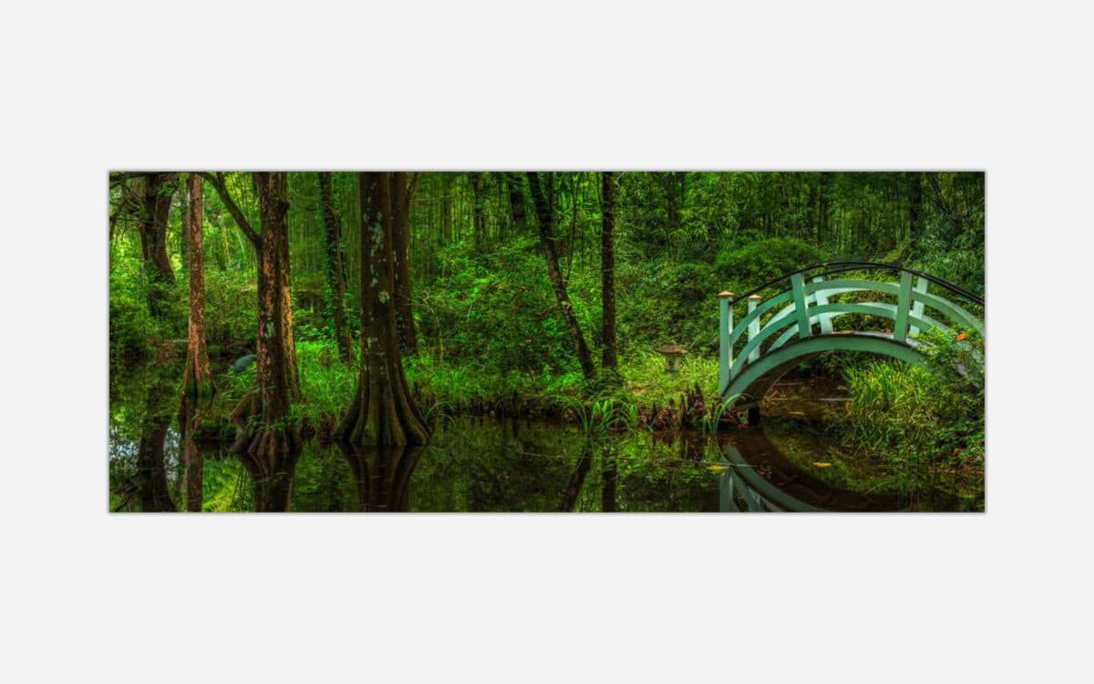 A serene image of a green forest with a small wooden bridge over a reflective water body, showcasing lush trees and tranquil surroundings.