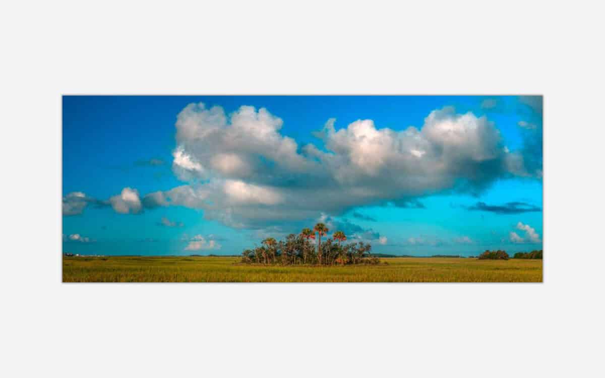 A photograph of a serene landscape with a wide open field with tall grass, a small cluster of palm trees in the center, and a vast blue sky with fluffy white clouds above.