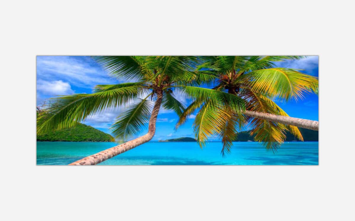 A vibrant art photograph of two coconut palm trees leaning over a serene tropical beach with clear blue water and a distant island under a bright blue sky.