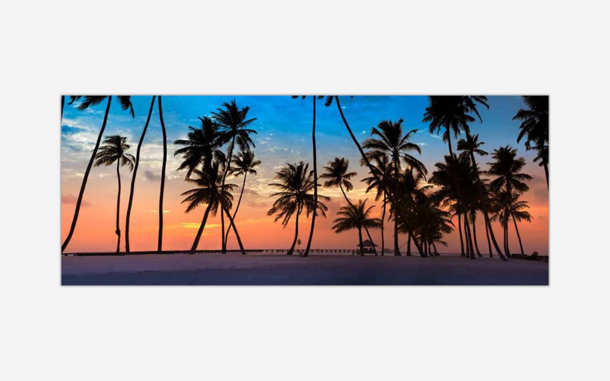 A tranquil image of palm tree silhouettes against a vibrant sunset sky on a tropical beach.