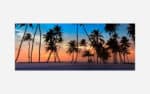 A tranquil image of palm tree silhouettes against a vibrant sunset sky on a tropical beach.