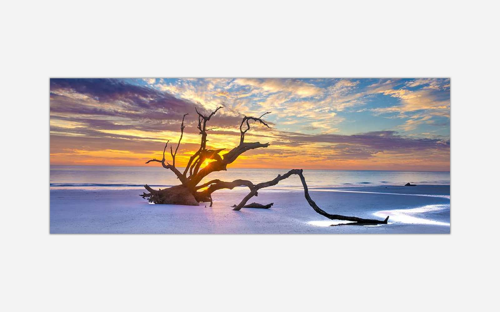 Time Gone By (1) Alt text: A serene beach landscape at sunset featuring a striking piece of driftwood against a backdrop of colorful skies and calm ocean waters.