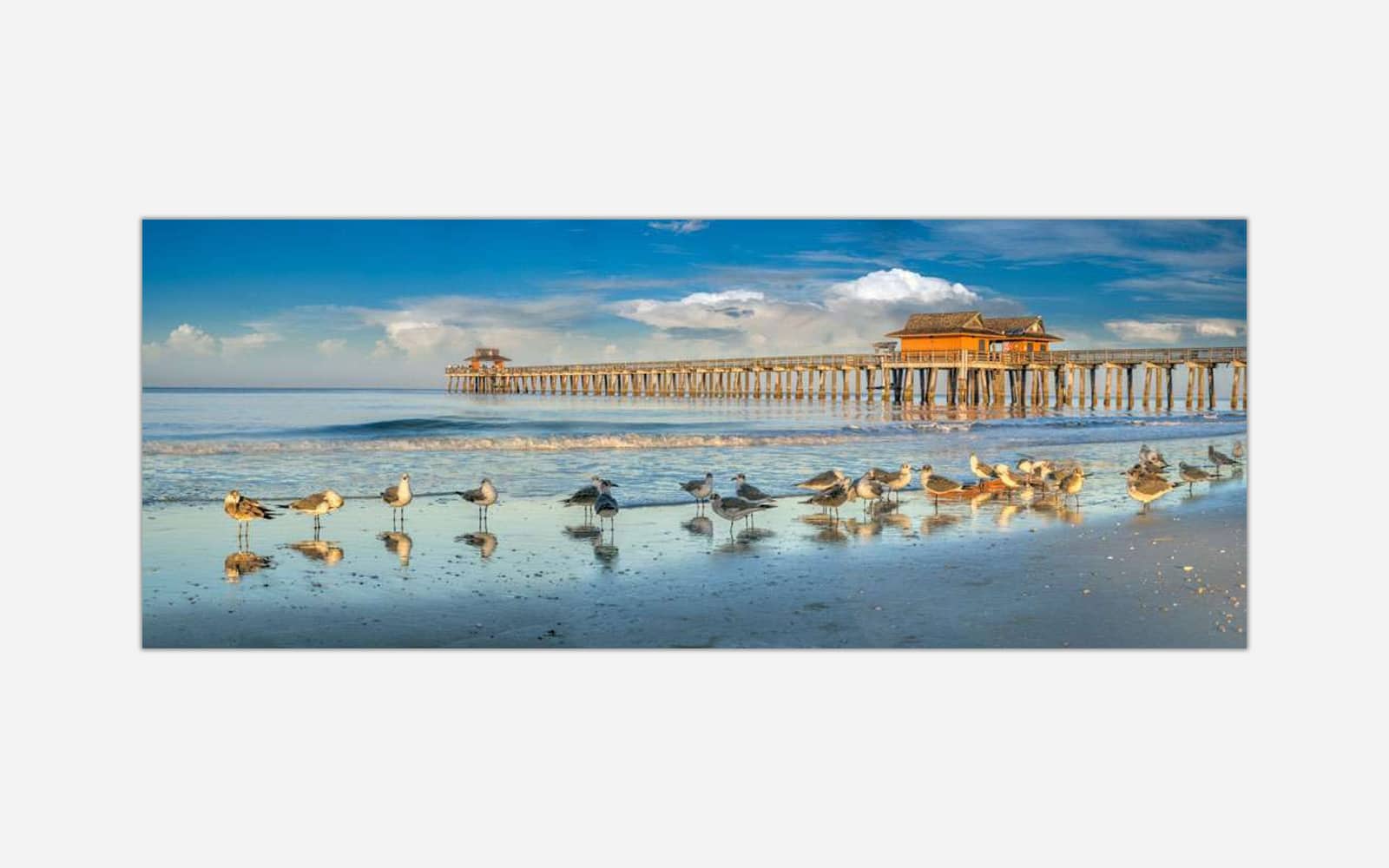 beach-patrol A photograph of seagulls on a sunlit beach with reflections on the water and a wooden pier in the background under a blue sky.