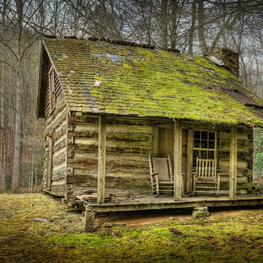 c555 HQ 1 scaled e1707346081346