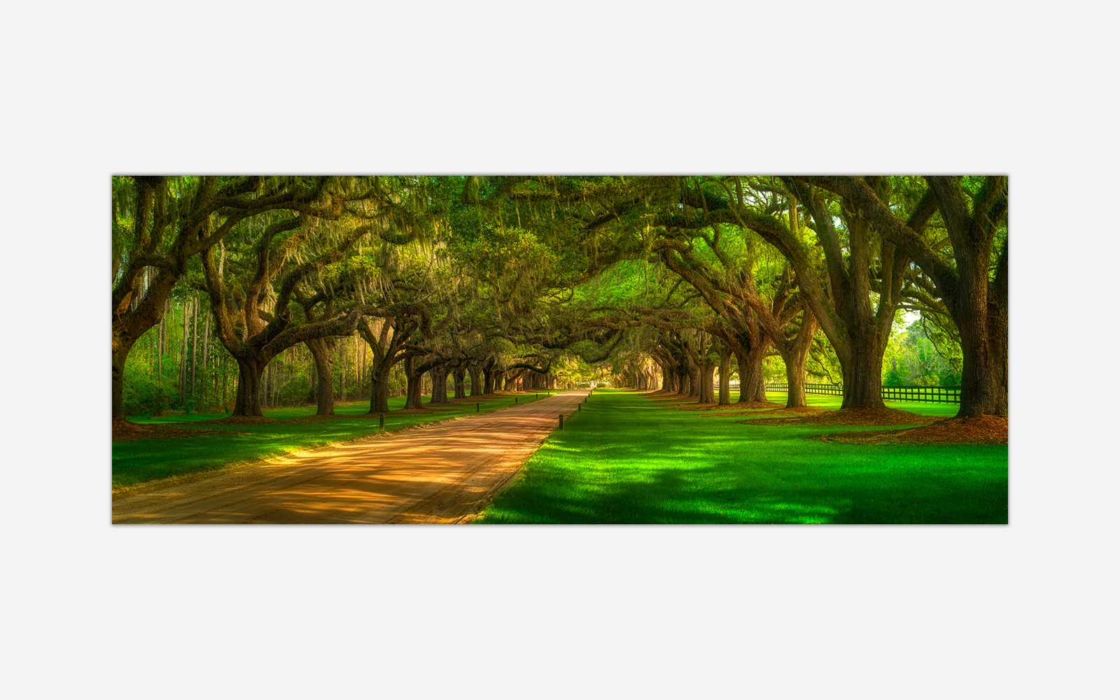 Boone-Hall-1 Boone Hall 1